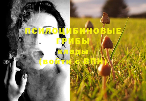 молекула духа Вуктыл