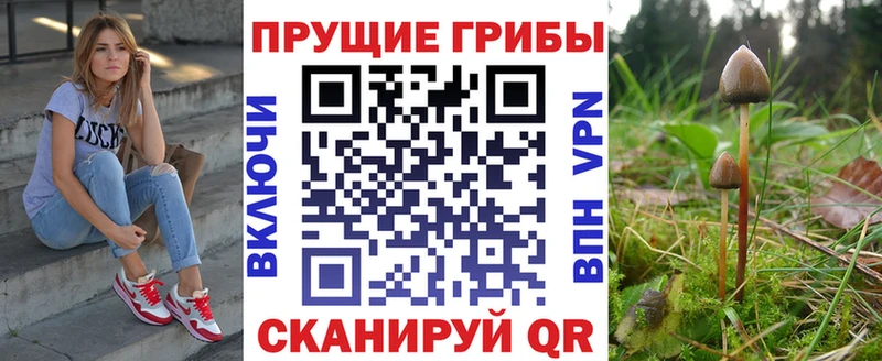 Псилоцибиновые грибы Magic Shrooms МЕГА как зайти Беслан
